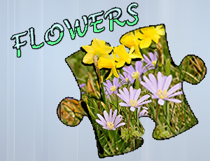 67ebf38bff4b43c3b7f79351c6465ea9