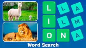 c069818c5b64404598db823ff6c82cd0 1280x720 1