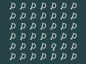 c8d6600002b347cbaec2068194c1be99 512x384 1