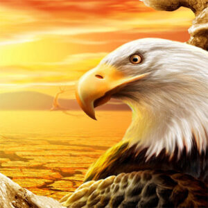 d51947ac98554fe18ac21cd06680ff8d 512x512 1