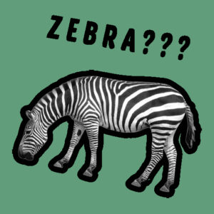 e7012aac89794af996a52d4c29f70c11 512x512 1