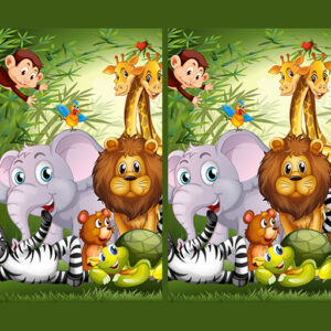 e979649da57241dc91311407d76a2896 512x512 1